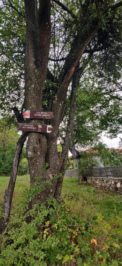Старата Къща - Трявна Villa Luaran gambar